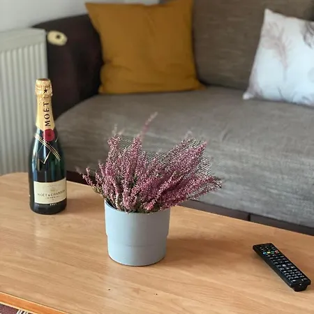 Chestnut Hill- Appartement