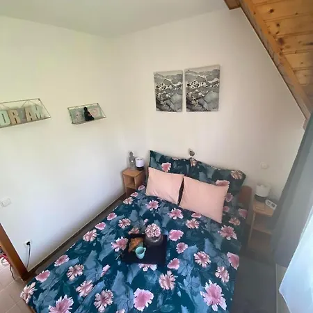 Apartament Chestnut Hill- *