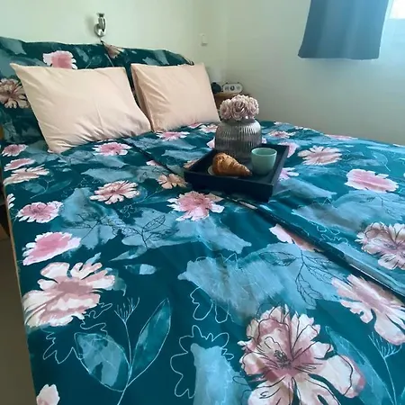 Apartament Chestnut Hill- *