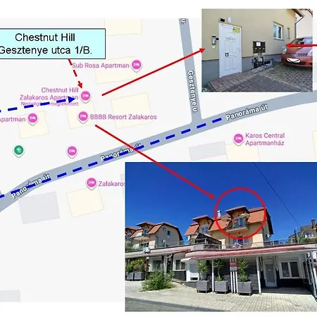 Apartament Chestnut Hill- *